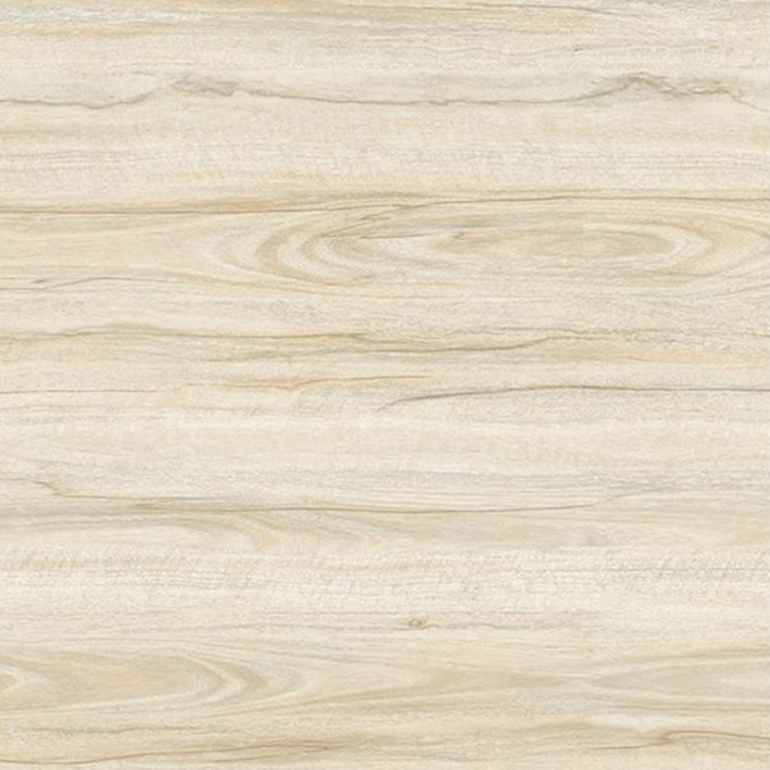 HW600X1007